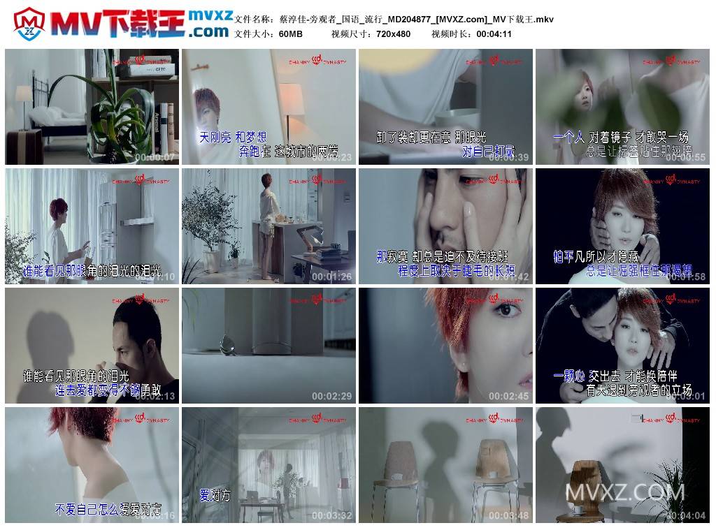 蔡淳佳-旁观者_国语_流行_MD204877